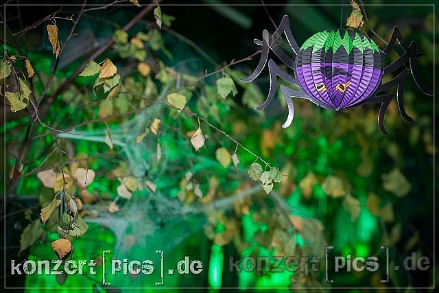 Halloween 2012 106