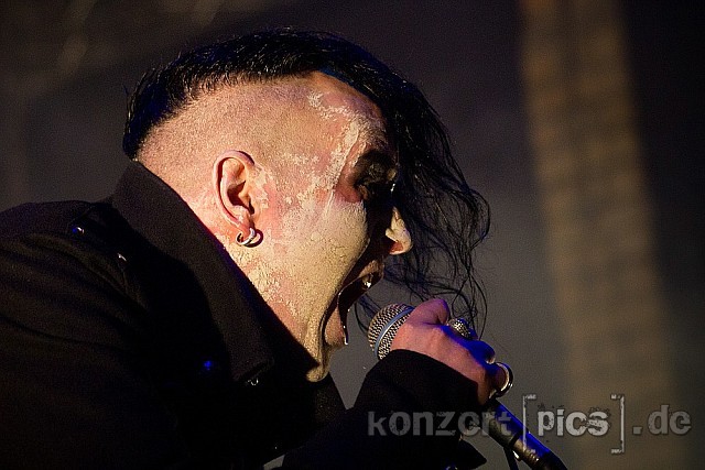 Project Pitchfork Stahlmann Solar Fake -139