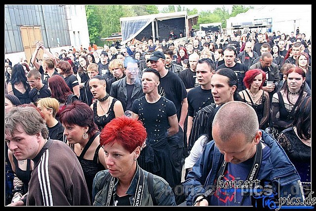 besucher darkbarbecue 034