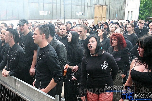 cephalgy dark barbecue 127