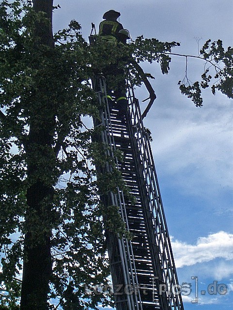 besucher-woodstage-sa-001