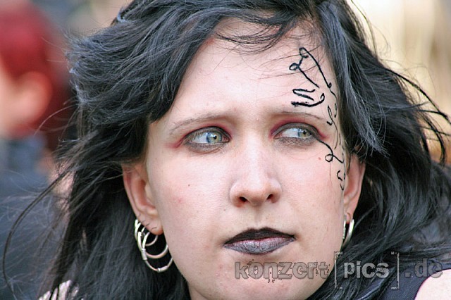 besucher-visitors-122