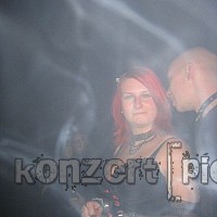 IMG 3377