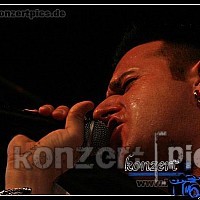 michael wendler 036