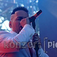 andone-031