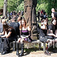 besucher-woodstage-sa-099