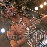 tanzwut-053