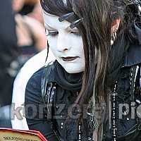 besucher-visitors-142