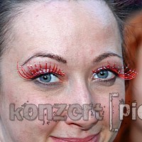 besucher-visitors-207